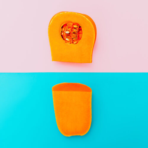 Pumpkin Vegan Minimal art style