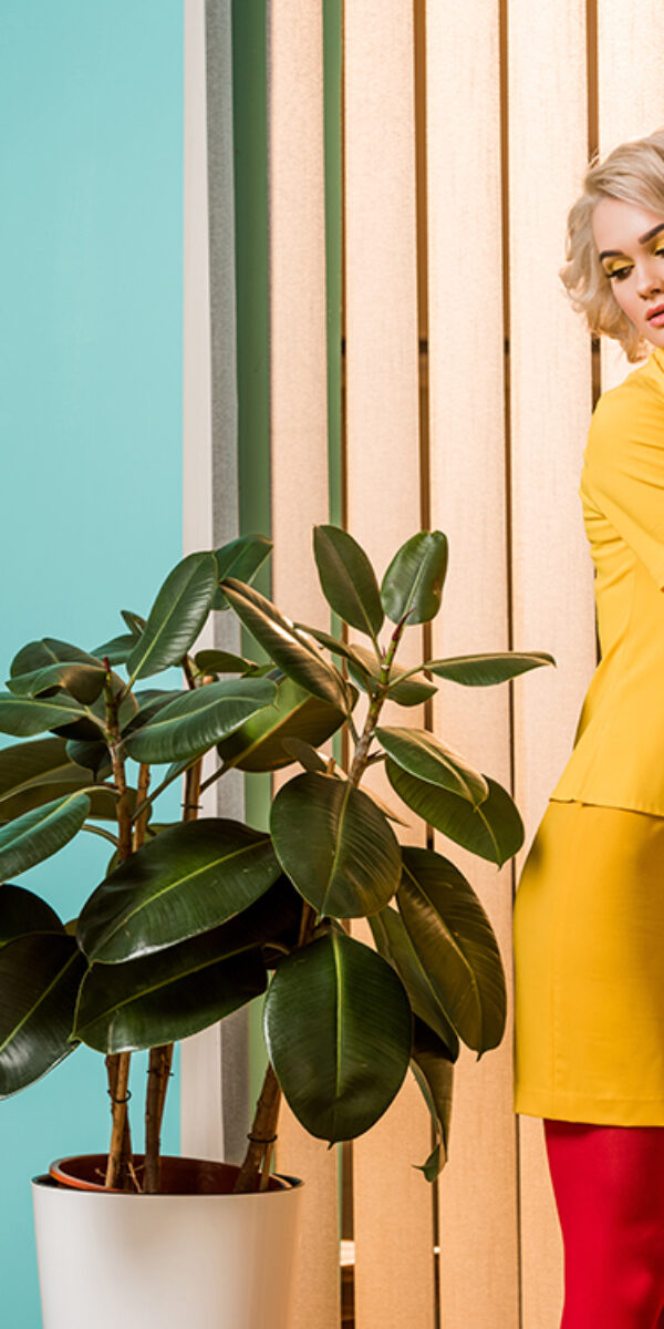 retro styled woman standing at ficus plant in flowerpot at colorful apartment, doll house concept