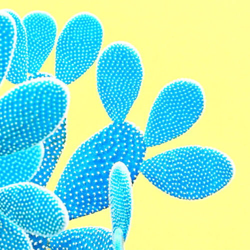 trendy-tropical-cactus-neon-surreal-minimal-on-viv-2024-02-13-19-10-53-utc