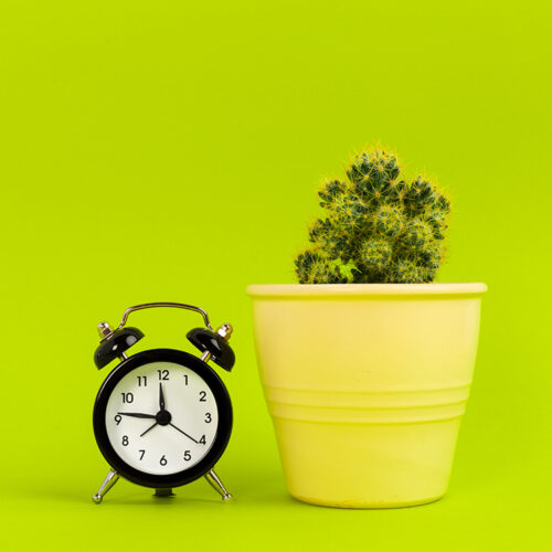 Vintage black alarm clock on a bright green background